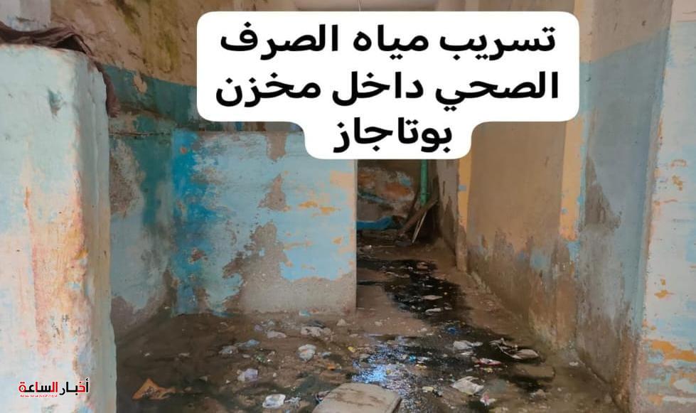 akhbarelsaa.com n2XMbU3w