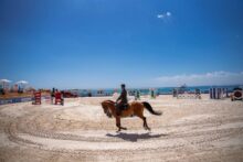 akhbarelsaa.com qESMhpwD