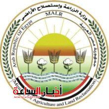 akhbarelsaa.com 0Quca2d9