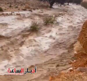 akhbarelsaa.com 1WoveVFI