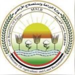 akhbarelsaa.com 3QabOjtX