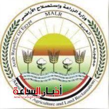 akhbarelsaa.com 3QabOjtX