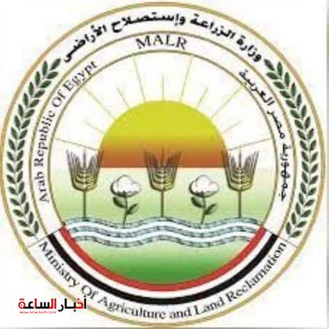 akhbarelsaa.com 3QabOjtX