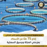 akhbarelsaa.com MOUDZq3V