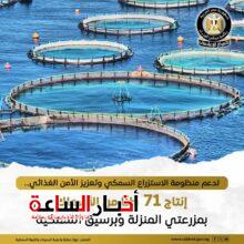 akhbarelsaa.com MOUDZq3V