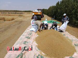 akhbarelsaa.com avoKd8JU