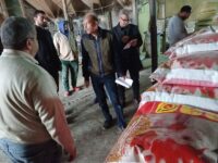 akhbarelsaa.com jgTNn4Hh