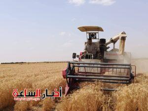 akhbarelsaa.com nSdcnoKA