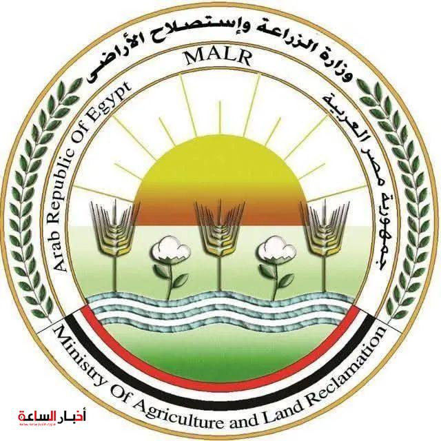 akhbarelsaa.com qQWyYHoC