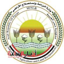 akhbarelsaa.com u5olaJq9