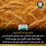 akhbarelsaa.com 8Dhm5DNI