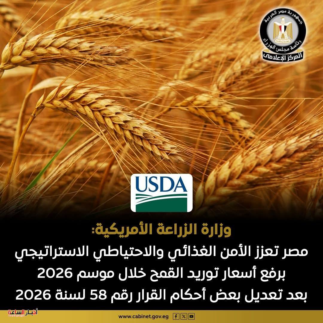 الزراعة الأمريكية.. رفع أسعار القمح في مصر يعزز الأمن الغذائي والاحتياطي الاستراتيجي