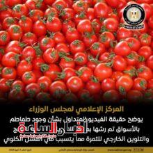 akhbarelsaa.com 8qkaGQzF