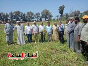 akhbarelsaa.com K4t8R0Pv