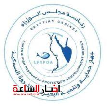 akhbarelsaa.com TCgTheNX