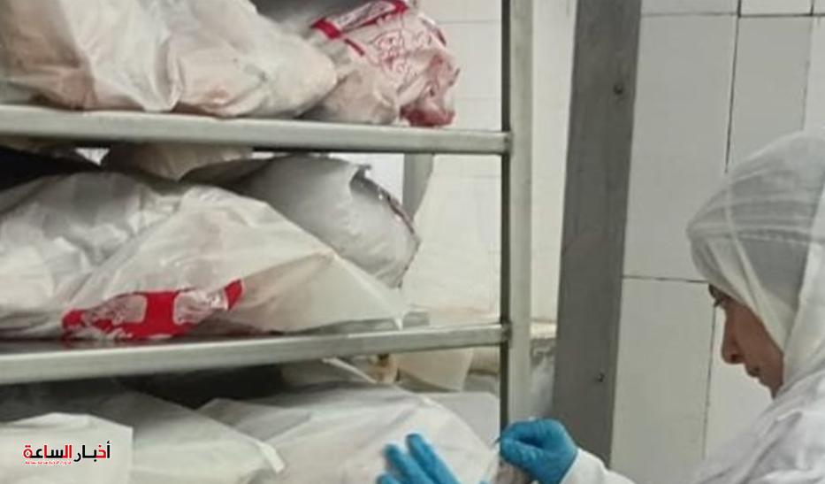 ذبح أكثر من 2 مليون طائر بالجيزة تحت رقابة بيطرية مشددة