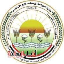 akhbarelsaa.com edcM7PpW