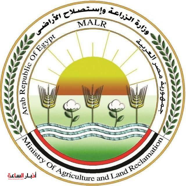 الزراعة تطلق حملة قومية لمكافحة القوارض لحماية المحاصيل الصيفية