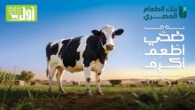 akhbarelsaa.com x4GUbZSE