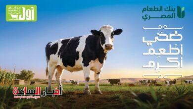 akhbarelsaa.com x4GUbZSE