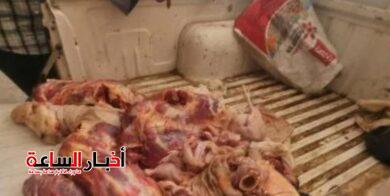 akhbarelsaa.com 6ysg5kQj