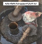 akhbarelsaa.com IOCrZpsi
