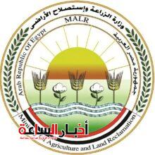 akhbarelsaa.com 6opemAsL