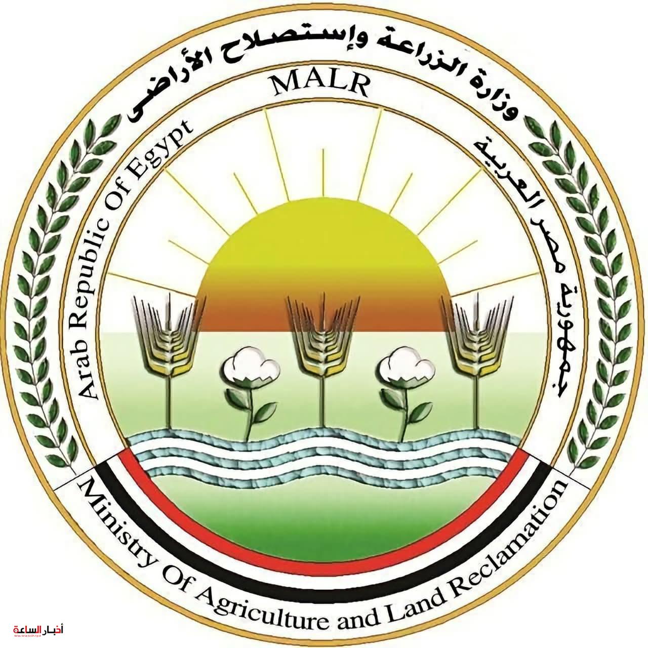 akhbarelsaa.com 6opemAsL