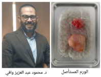 akhbarelsaa.com 6qYheWhx