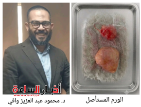 akhbarelsaa.com 6qYheWhx
