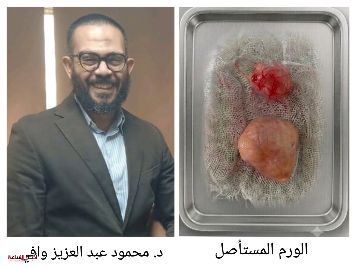 akhbarelsaa.com