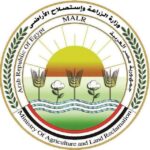 akhbarelsaa.com MEKHPOyC
