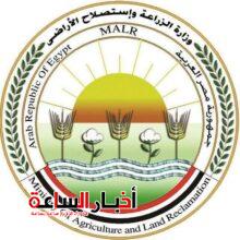 akhbarelsaa.com MEKHPOyC