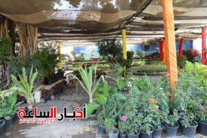 وزارة الزراعة تواصل استقبال الزوار بمعرض الزهور الدائم بالمتحف الزراعي لدعم منتجي نباتات الزينة 7 akhbarelsaa.com SSxeqZy6