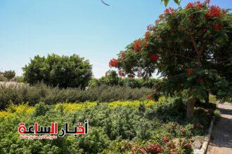 akhbarelsaa.com VdJXGnX9