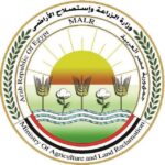 akhbarelsaa.com Xqf5hHES