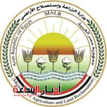 akhbarelsaa.com Xqf5hHES
