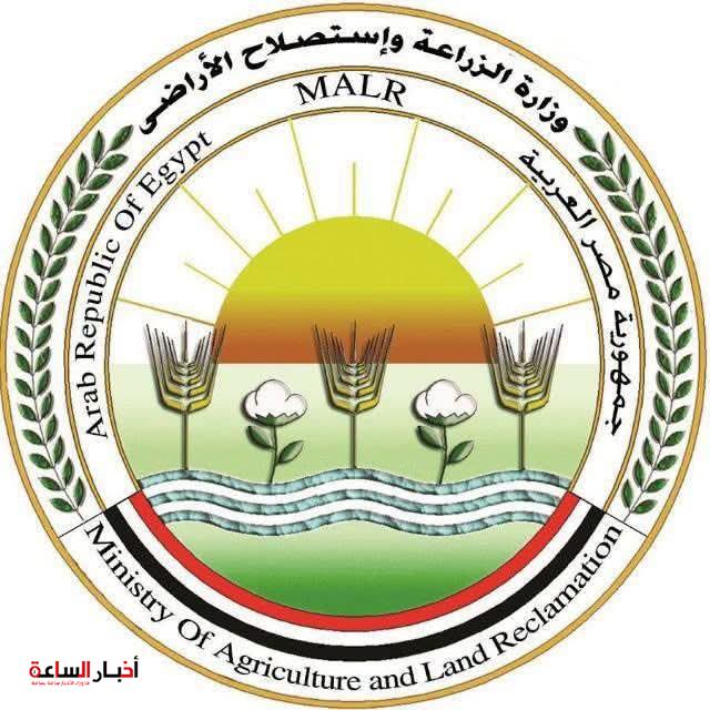 akhbarelsaa.com Xqf5hHES