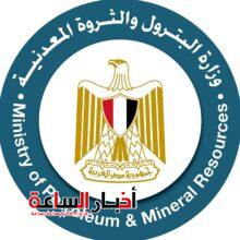 akhbarelsaa.com N1EdbNf8