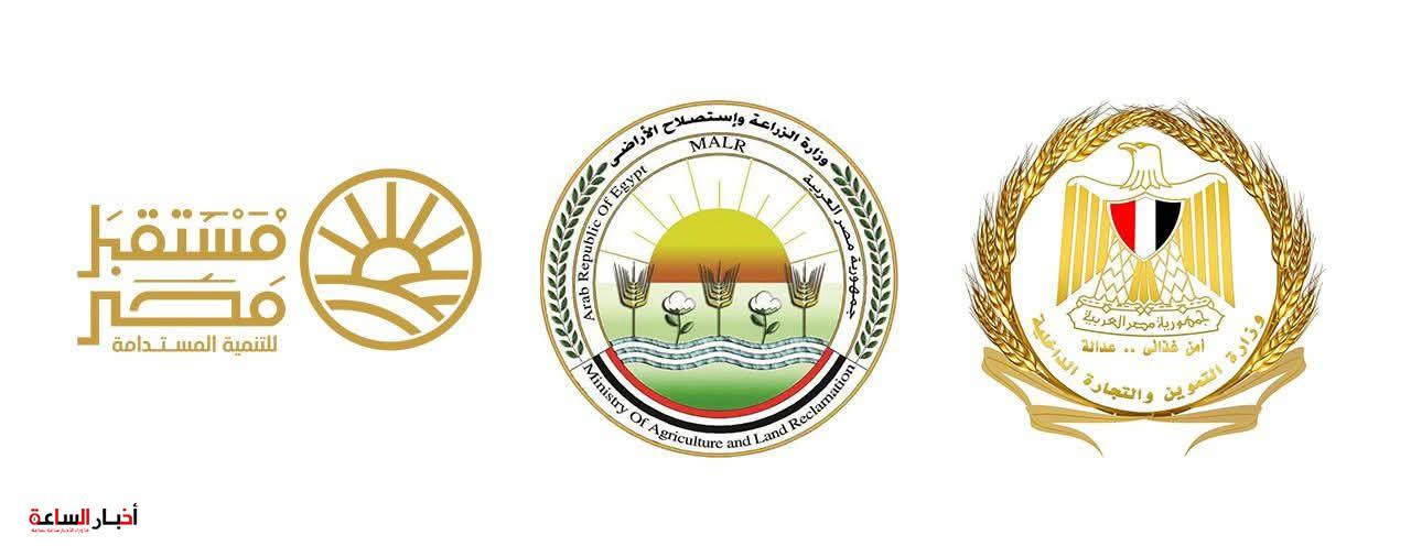 بدء طرح السكر الحر بـ25 جنيهًا للكيلو غدًا في المجمعات الاستهلاكية ومنافذ الزراعة و«مستقبل مصر»