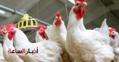 akhbarelsaa.com b4MjVIHG