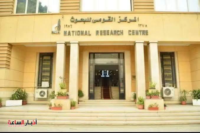 المركز القومي للبحوث يتصدر مصر بـ133 عالمًا في تصنيف ستانفورد لأفضل 2% عالميًا