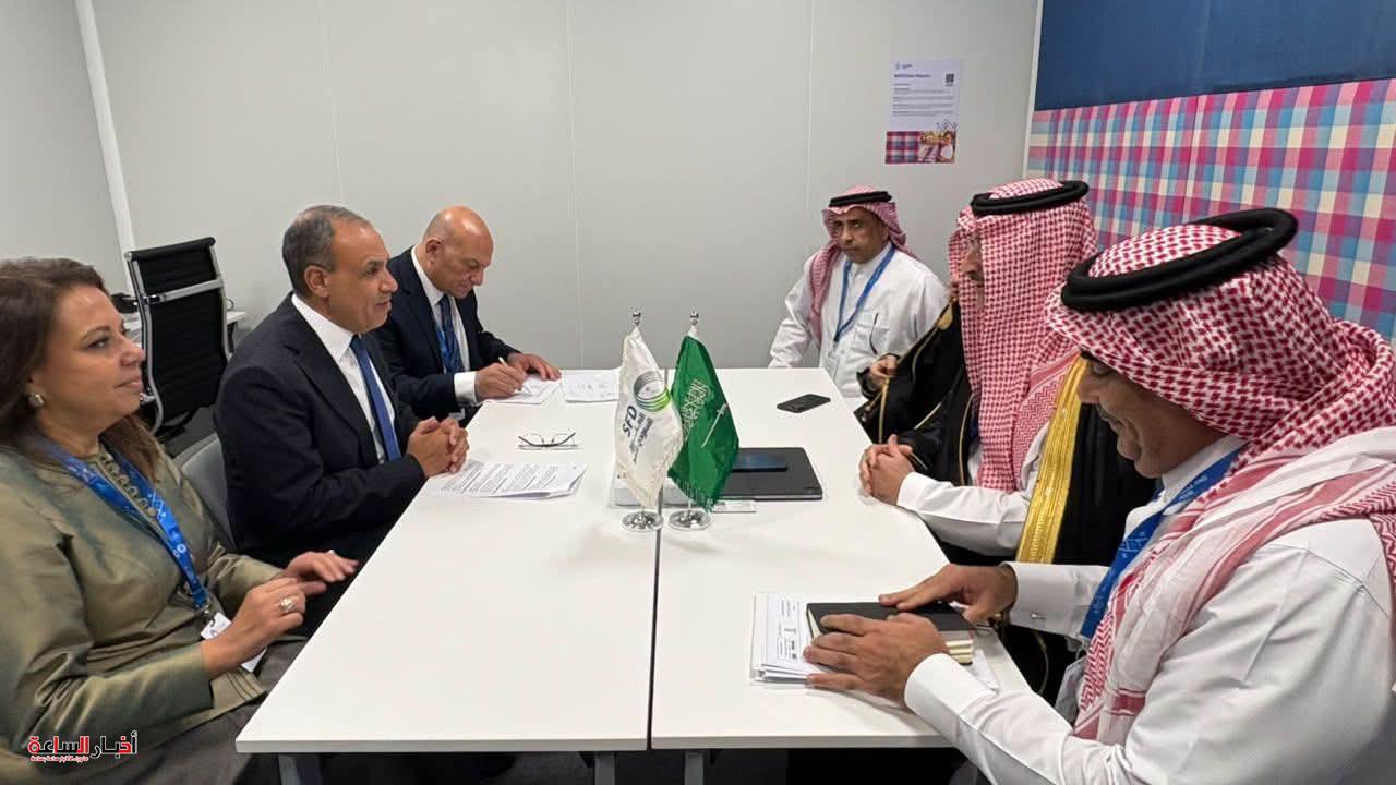 مصر والسعودية تبحثان توسيع التعاون التنموي وتمويل المشروعات وزيادة الاستثمارات