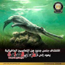 akhbarelsaa.com UY3qNjWg